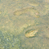 DSCN1513.JPG