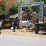 DSCN1360.JPG