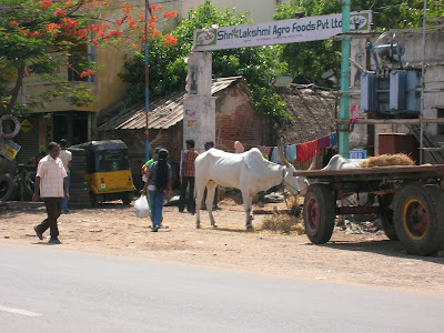DSCN1360.JPG