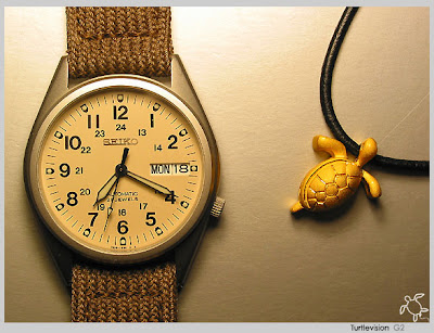 Watch-and-turtle.jpg