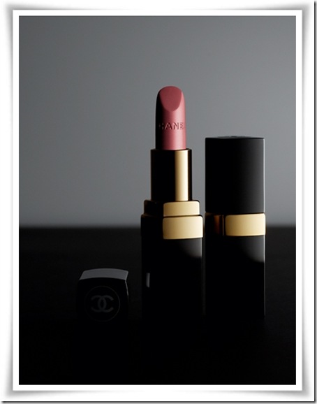 Chanel-Fall-Makeup-Collection-2010-7