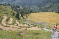 Pokhara 045.JPG Photo