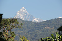 Sudame 002.JPG Photo