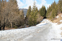 IMG_4797.JPG Photo