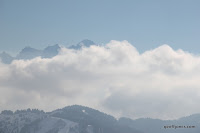 IMG_4888.JPG Photo