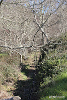 IMG_5978.JPG Photo