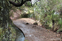 IMG_8250.JPG Photo