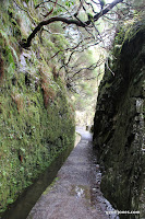IMG_8247.JPG Photo