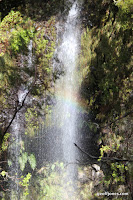 IMG_8257.JPG Photo