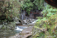 IMG_8266.JPG Photo