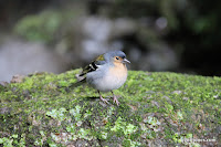 IMG_8280.JPG Photo