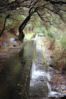 IMG_8299.JPG Photo