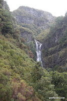 IMG_8300.JPG Photo