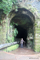 IMG_8313.JPG Photo