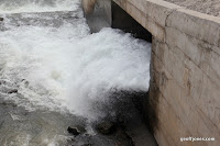 IMG_8338.JPG Photo