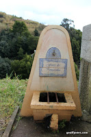 IMG_8325.JPG Photo