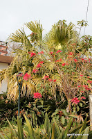 IMG_8329.JPG Photo