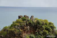 IMG_8333.JPG Photo