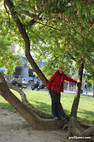 IMG_9570.JPG Photo
