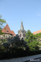 IMG_9571.JPG Photo