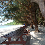 P1000325.JPG