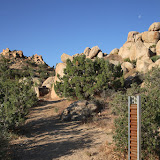 Path 1.jpg