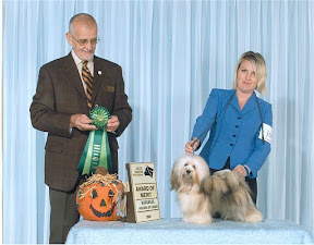 judith mcgrath havanese havanese fanciers specialty 2008 havanese fanciers of canada judith mcgrath havanese havanese fanciers specialty 2008 havanese fanciers of canada