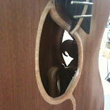 Close-up of the soundhole.  The maple rosette is like part of its own vine, coming from the fingerboard and flowing down thru the guitar.  Beautiful.  You can also see that the bracing inside the guitar carries the vine theme.