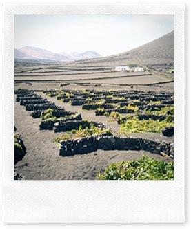 Lanzarote_LaGeria