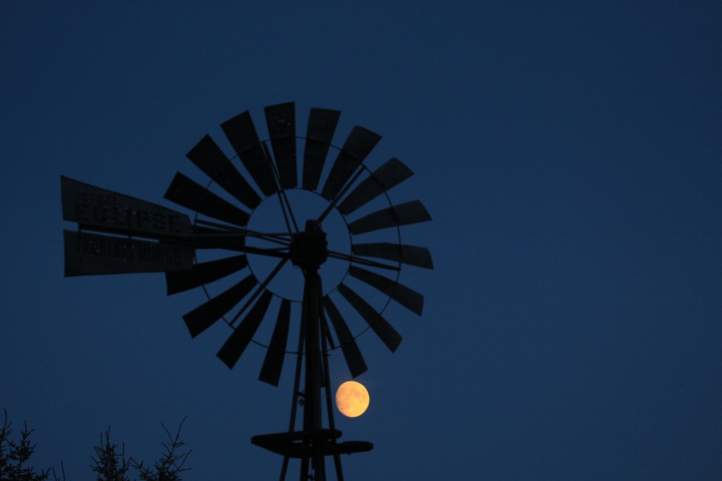 [Windmill and the Moon-1[4].jpg]