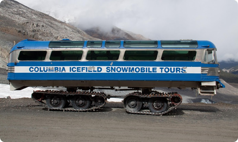 Icefields Parkway - Shake and Bake R1-1