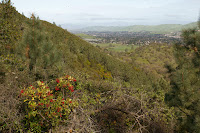 009_Diablo_2011_03_12.jpg Photo 009_Diablo_2011_03_12.jpg Photo