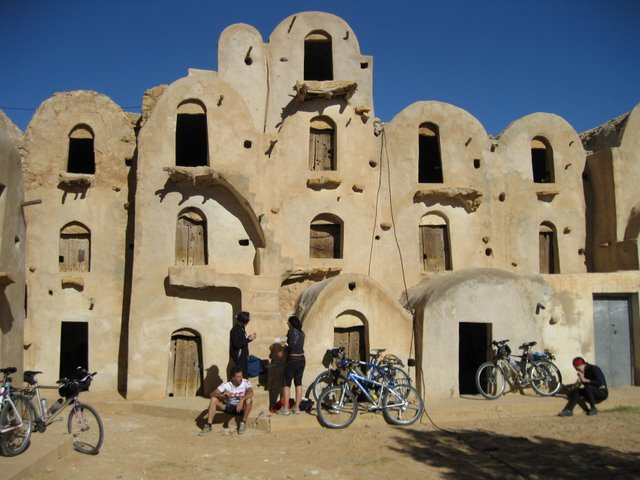 IMG 1541