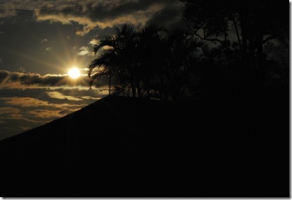 DSC_2239 DSC_2239