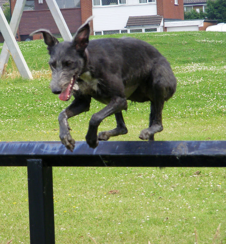 DSCF3551.jpg