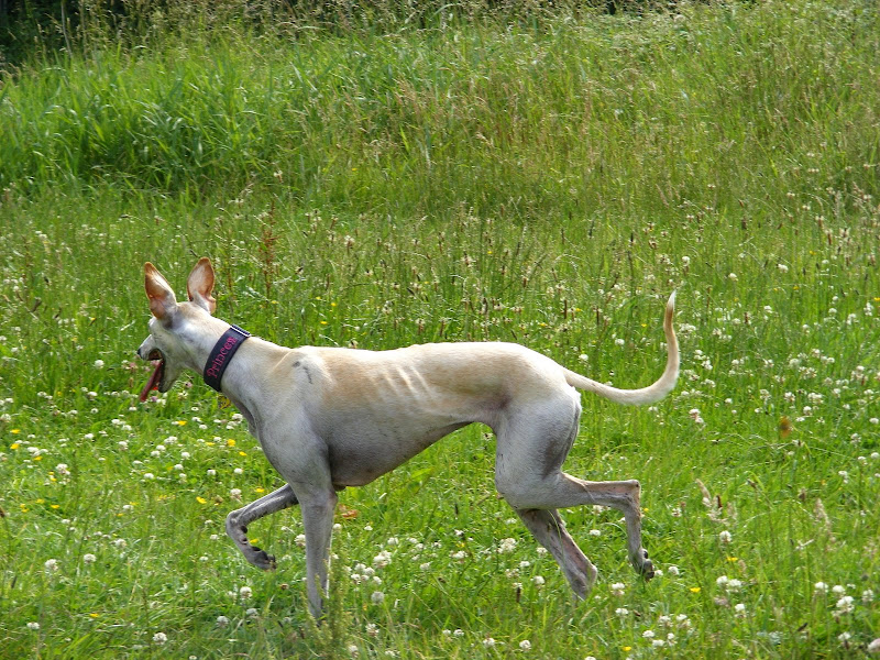DSCF3516.jpg