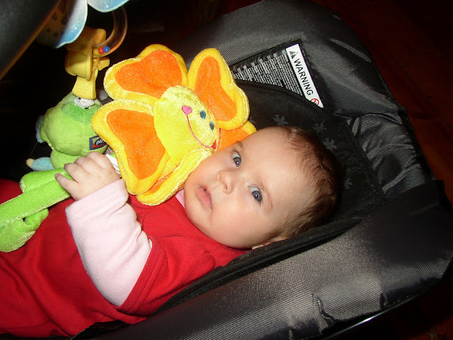P2030043.JPG