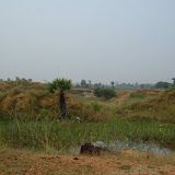 water body