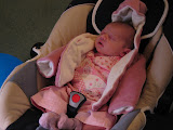 photo 115.jpg