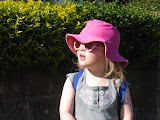 pic 014.jpg