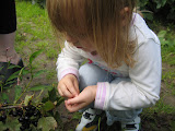 pic 086.jpg