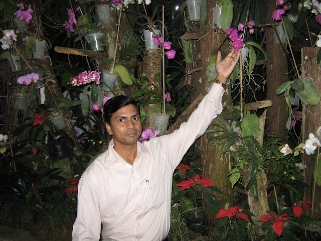 ARVIND KUMAR