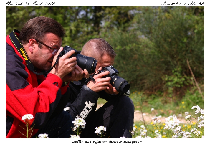 photos mini sortie macro perpignan 16-04-10 Axuetalex