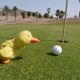 The inscrutable Duckee scrutinises the line