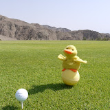 Relentless Duckee overrules the choice of Driver off the tee - 4 iron it is !