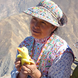 Duckee practices his Quechua with his new friend