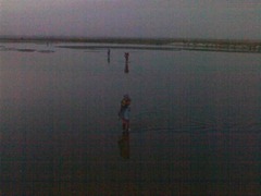 [Gyan488 (Small)[4].jpg]