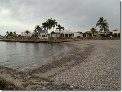 DSC00560