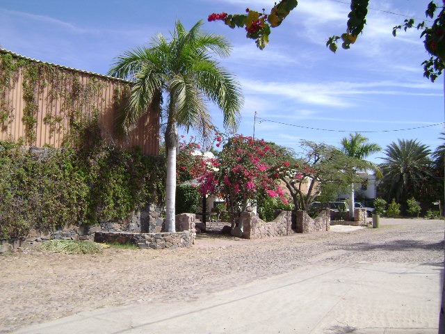 [DSC005962.jpg]