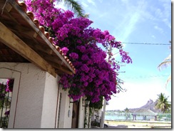 DSC00606